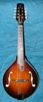mandolína na prodej - prosinec 2009