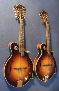 mandolína F5