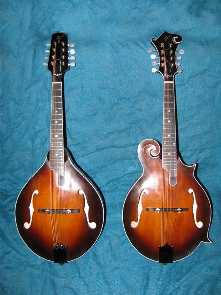 mandolína A5 a F5